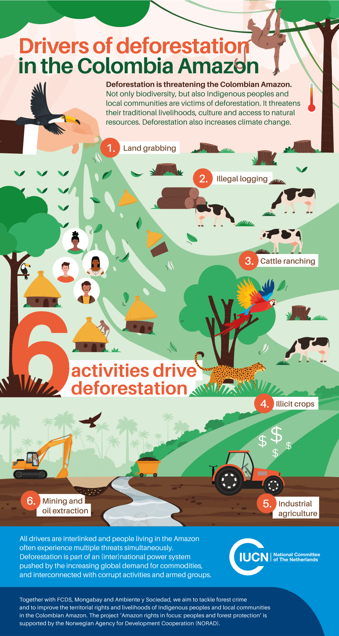 Drivers of deforestation in the Colombian : Illegal logging