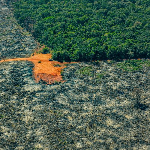 Untangling the dynamics of deforestation in the Colombian Amazon photo FCDS