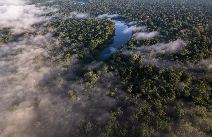 Peruvian Amazon Photo Diego Perez-SPDA